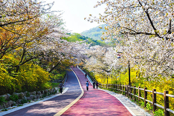 Công viên Namsan – trái tim của thủ đô Seoul